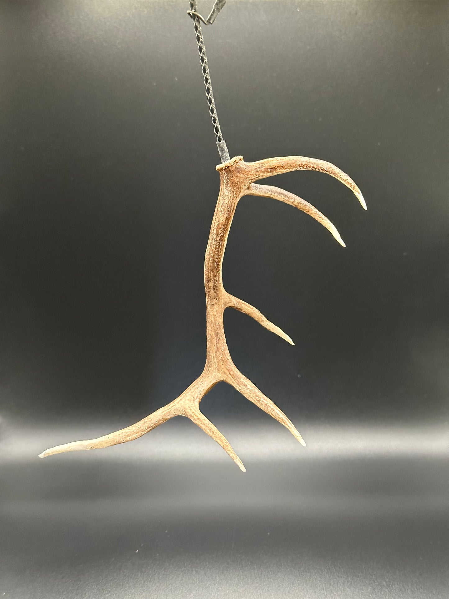 American Elk Shed Hanger