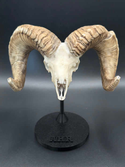 Arizona Desert Sheep Mini Replica - Logo Ram